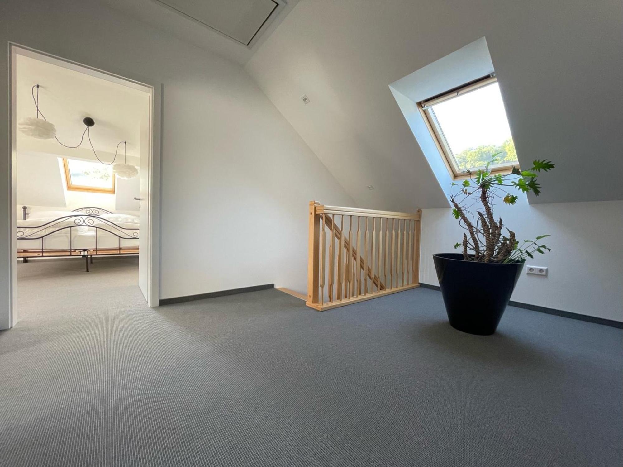 Stilvolle Wohnung Fuer 2-3 Personen - Mit Riesiger Dachterrasse Haigerloch 外观 照片