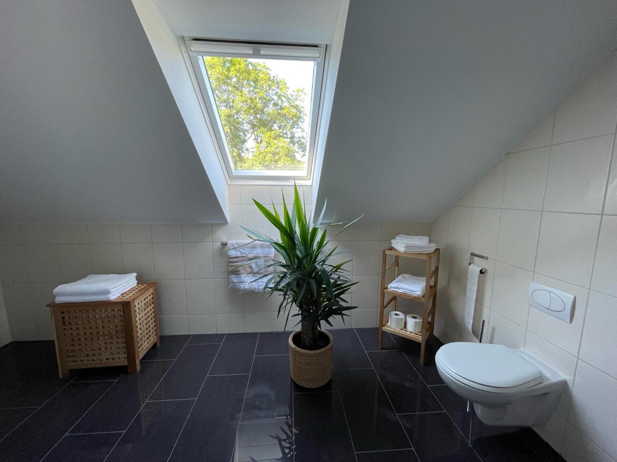 Stilvolle Wohnung Fuer 2-3 Personen - Mit Riesiger Dachterrasse Haigerloch 外观 照片